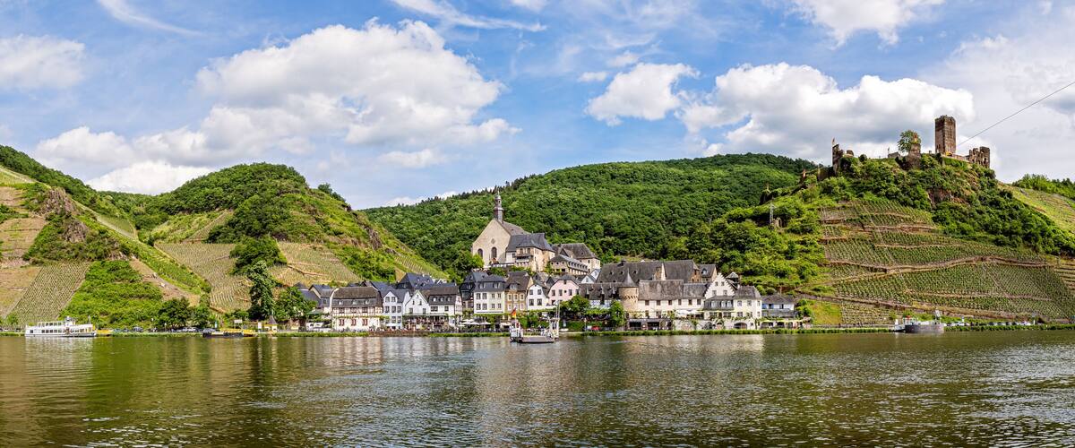 A riverside town with vineyards, historic buildings, and a castle on a hill.