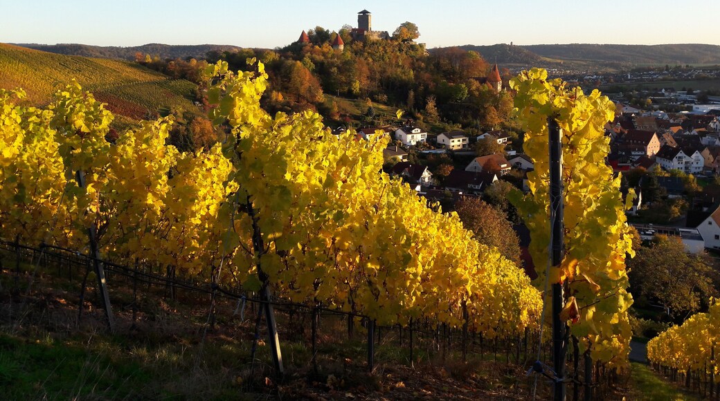 Burg Hohenbeilstein, von Norden gesehen