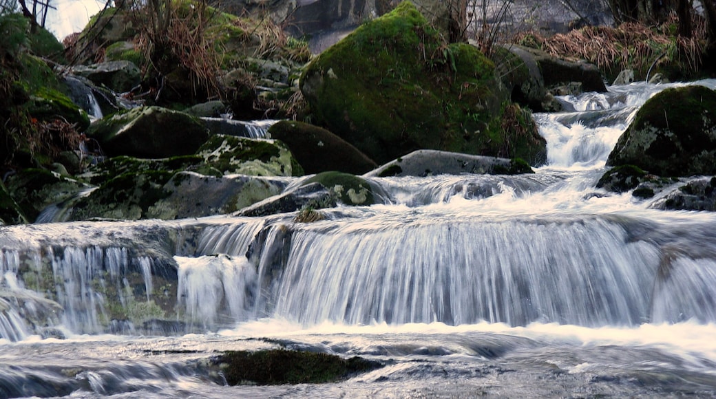 Catarata rio Cerves2