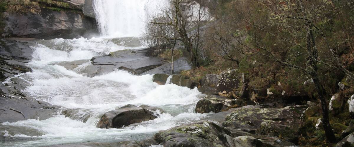 A waterfall cascading over rocks in a forested area.