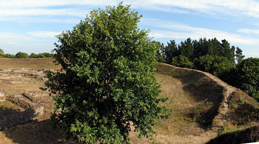 Panorámica do Castro de Viladonga
