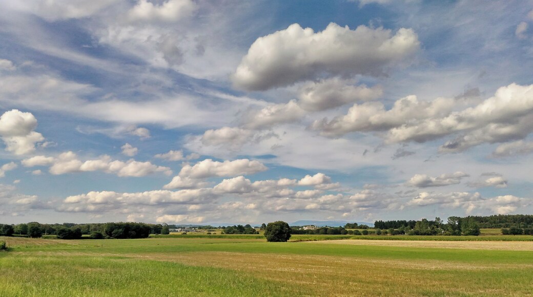 This is a photography of a Site of Community Importance in Spain with the ID: