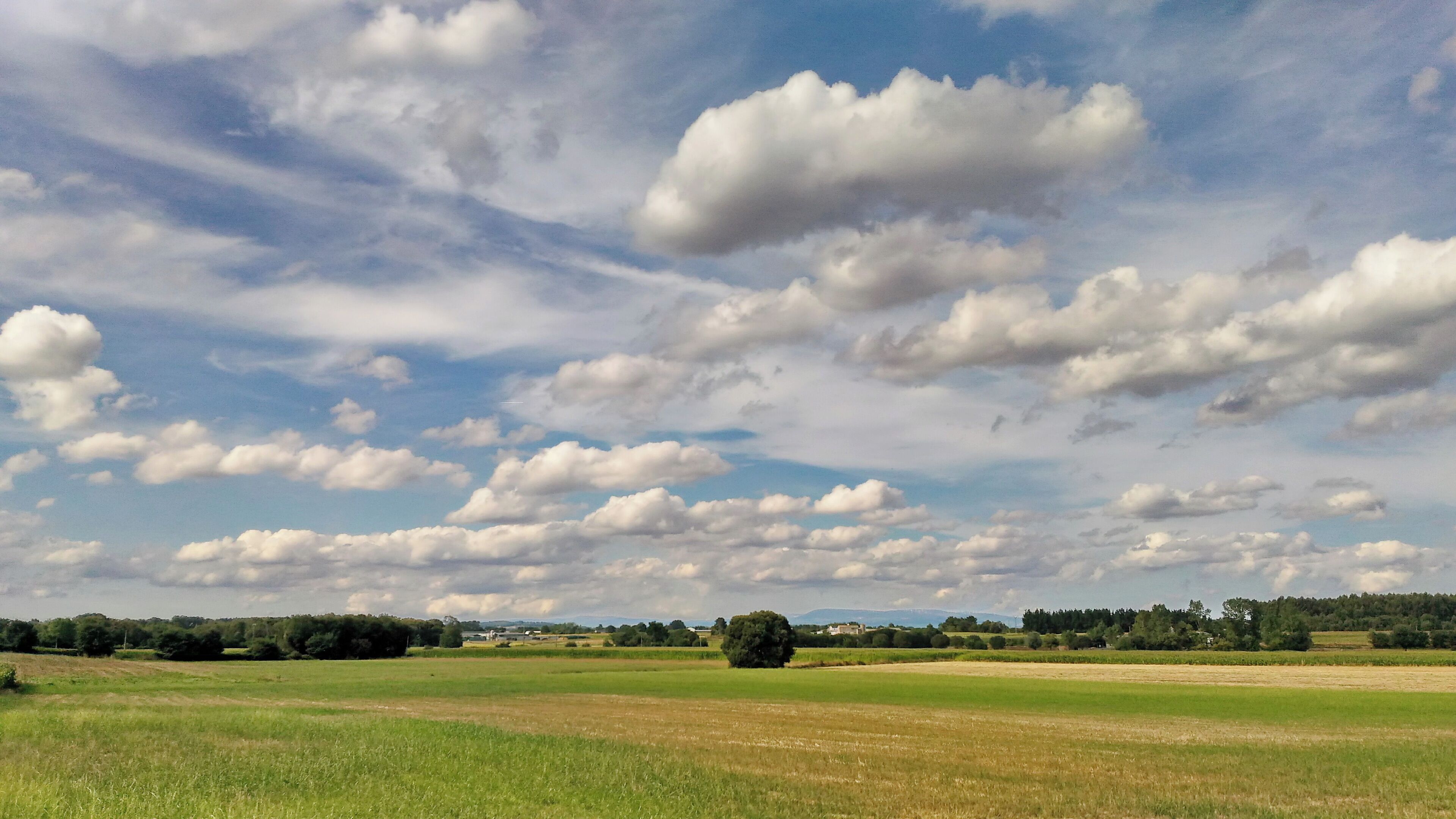 A rural landscape with a field, scattered trees, and a cloudy sky.