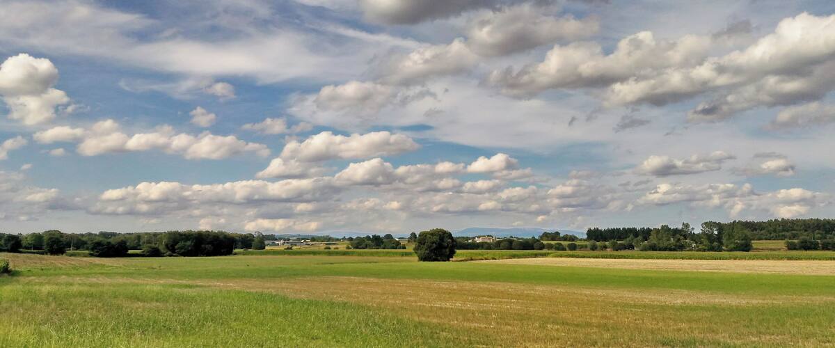 A rural landscape with a field, scattered trees, and a cloudy sky.