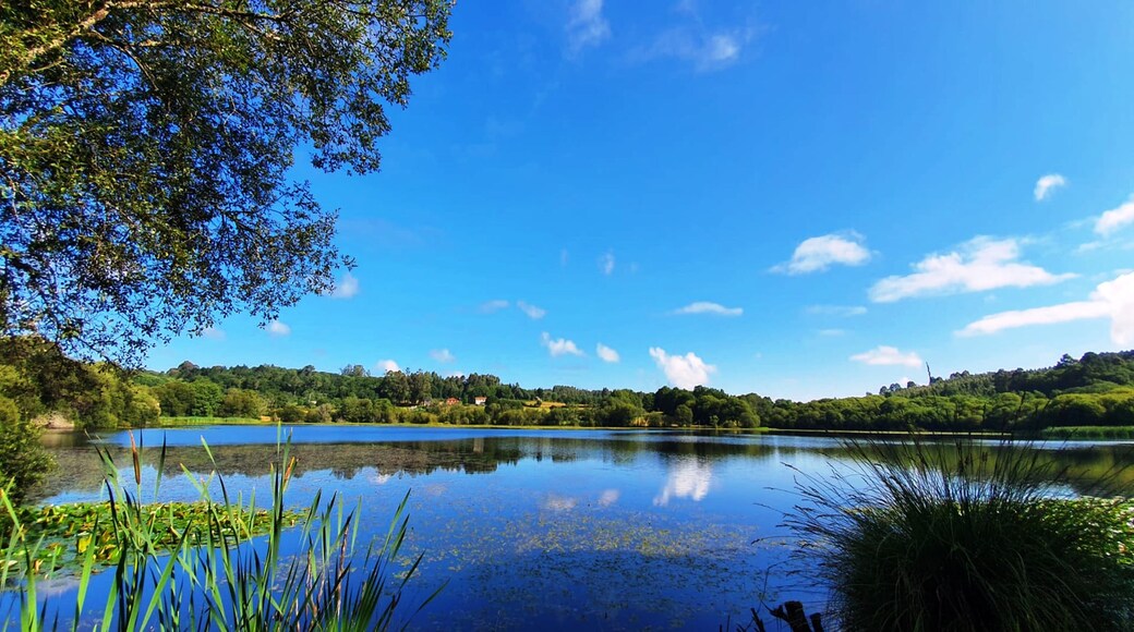 Ein ruhiger See, umgeben von üppigem Grün und wolkenlosem, blauem Himmel.