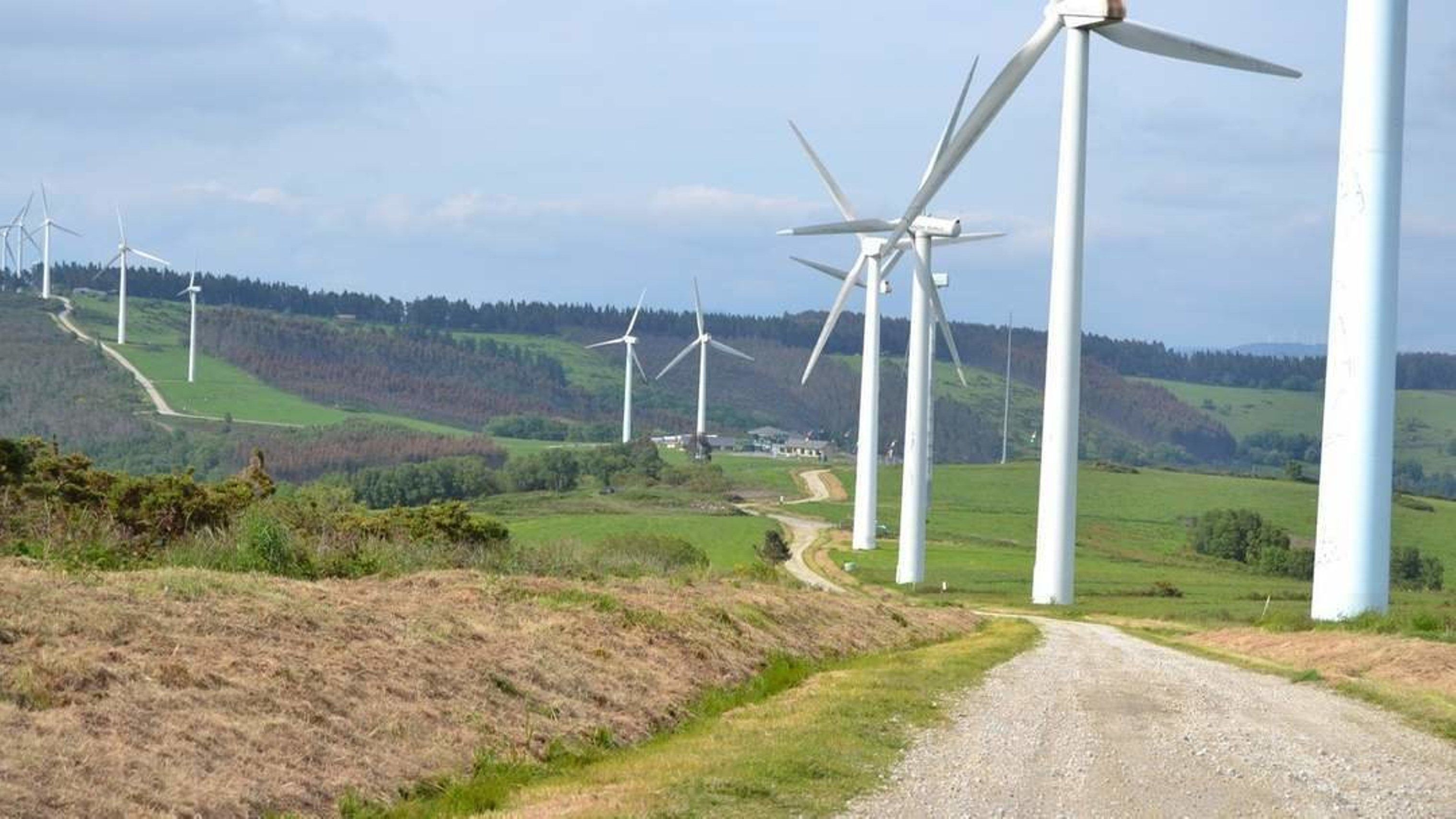 Ländliche Landschaft mit mehreren Windkraftanlagen und einem Schotterweg.