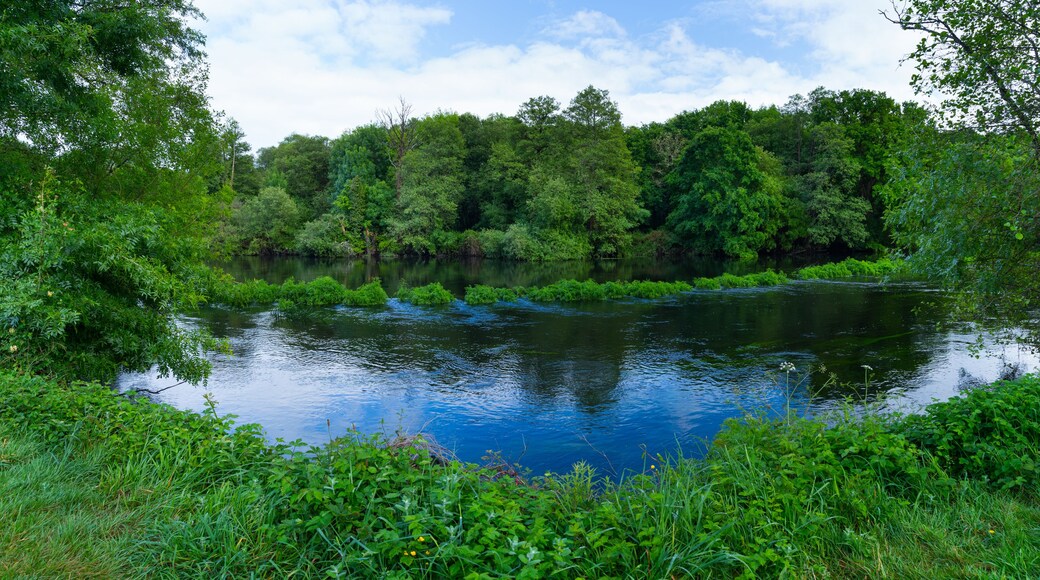 Ein ruhiger Fluss, umgeben von dichtem Grün und Bäumen.