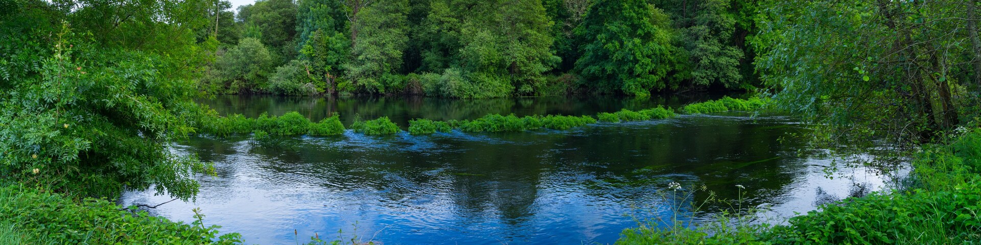 Une rivière paisible, bordée d’une végétation luxuriante et d’arbres.