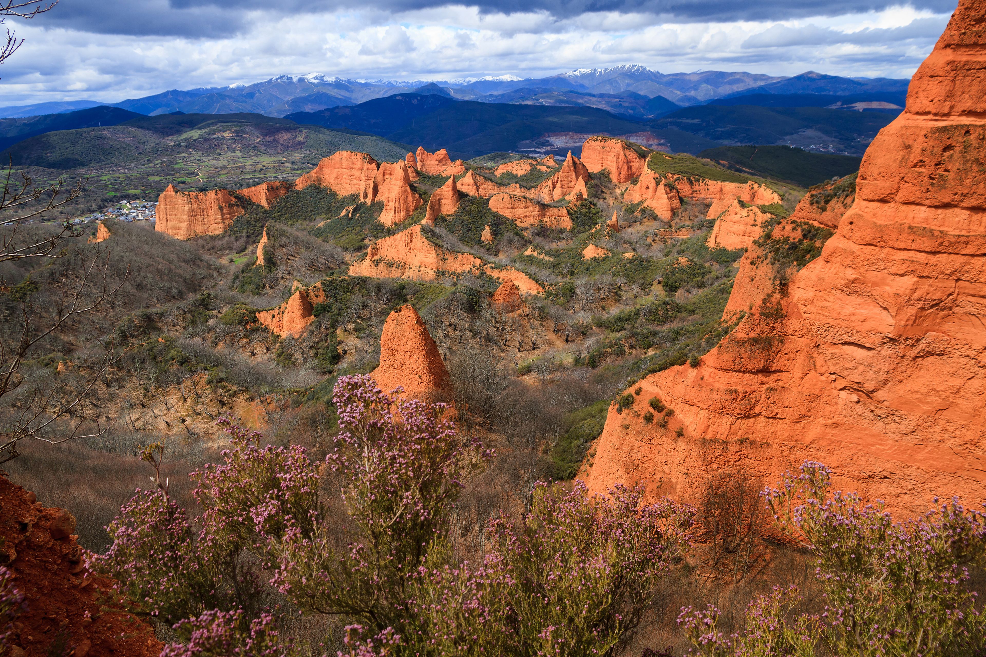 Un paysage caractérisé par des formations rocheuses rouges, une végétation verdoyante et des montagnes enneigées à l’horizon.