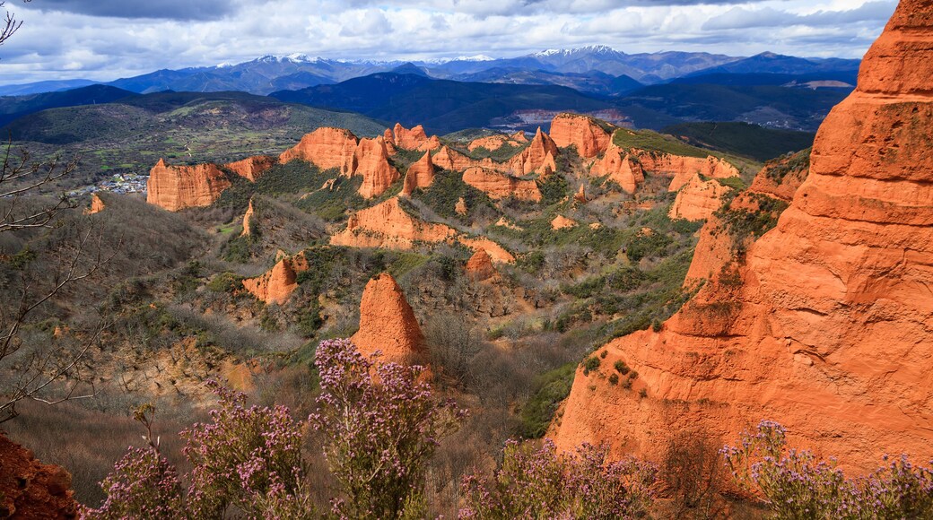 Un paysage caractérisé par des formations rocheuses rouges, une végétation verdoyante et des montagnes enneigées à l’horizon.