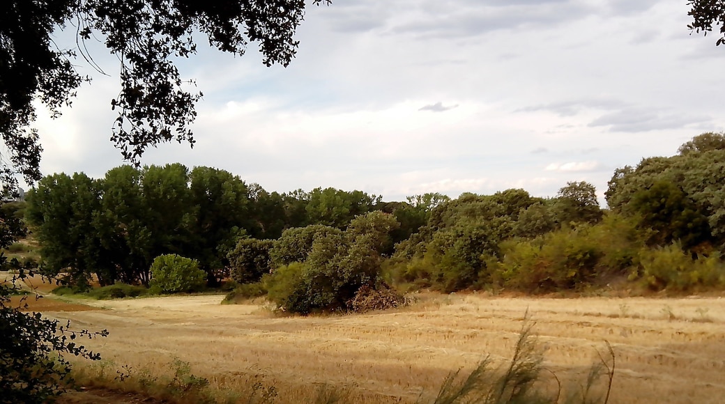 Marchamalo, 19180, Guadalajara, Spain