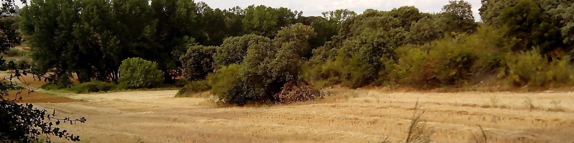 Marchamalo, 19180, Guadalajara, Spain