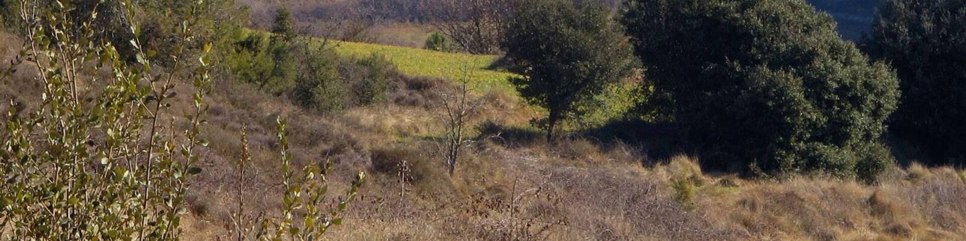 Masia Turigues (Santa Maria d'Oló)