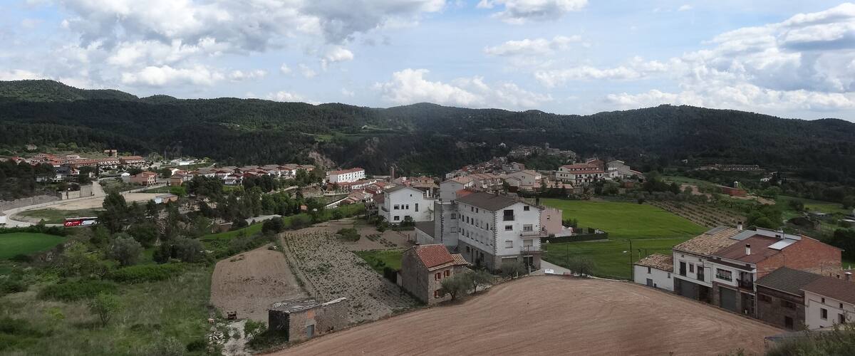A rural landscape with a village, green fields, and mountains in the background.