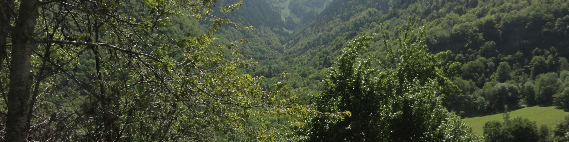 This is a a photo of a natural area in Catalonia, Spain, with id: