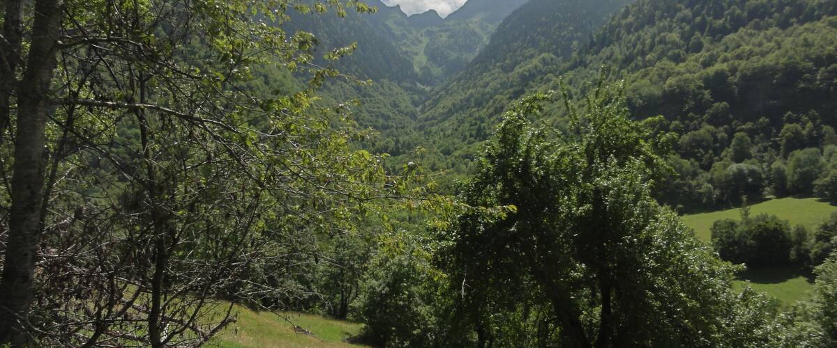 A lush valley with dense forests, rolling hills, and a mountain range in the background.