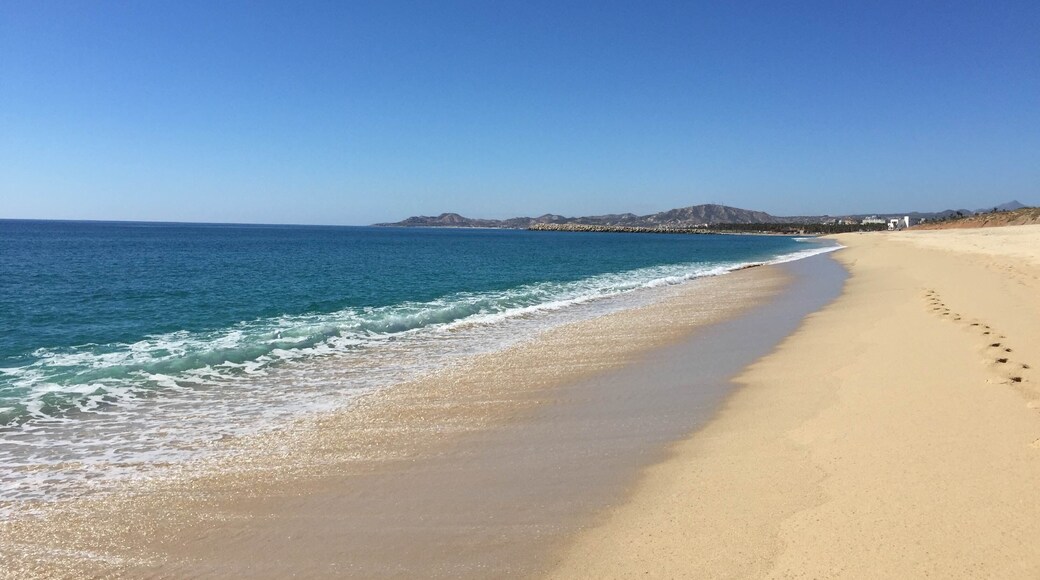 Caption--- - Christmas in Cabo