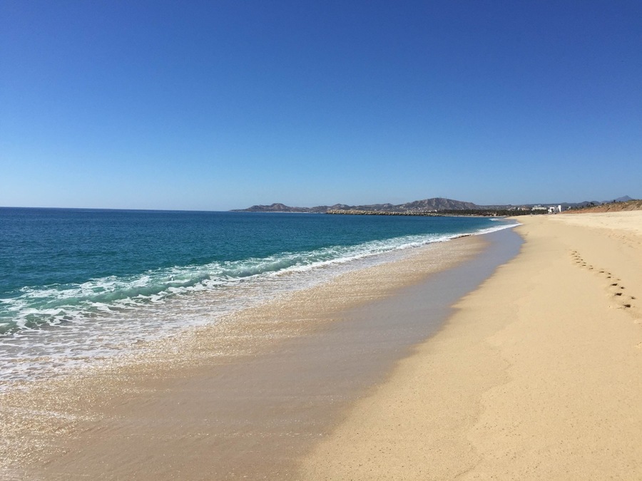 Caption--- - Christmas in Cabo