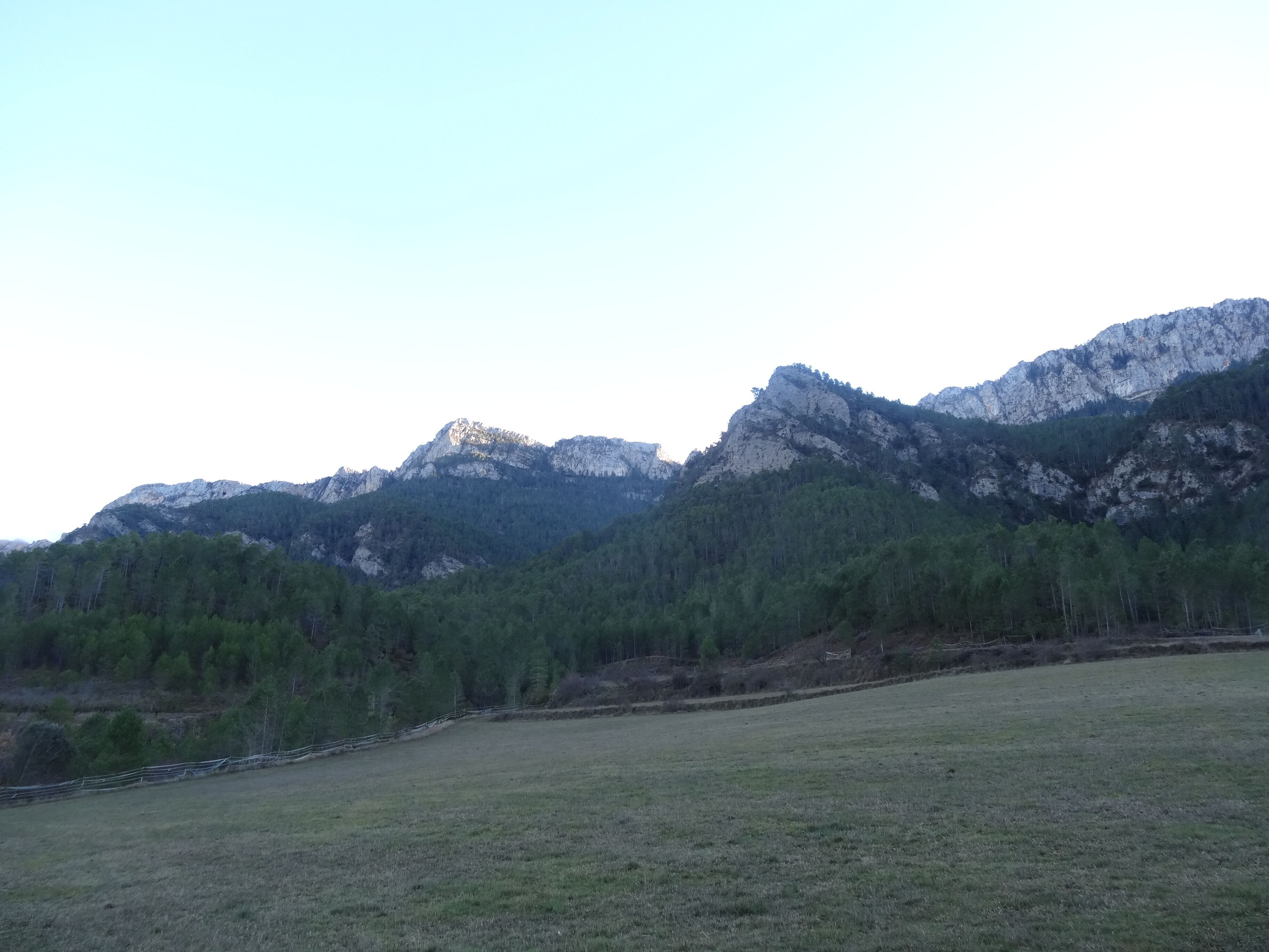 Cingles del sud de la Vall de Cabó (gener 2013)