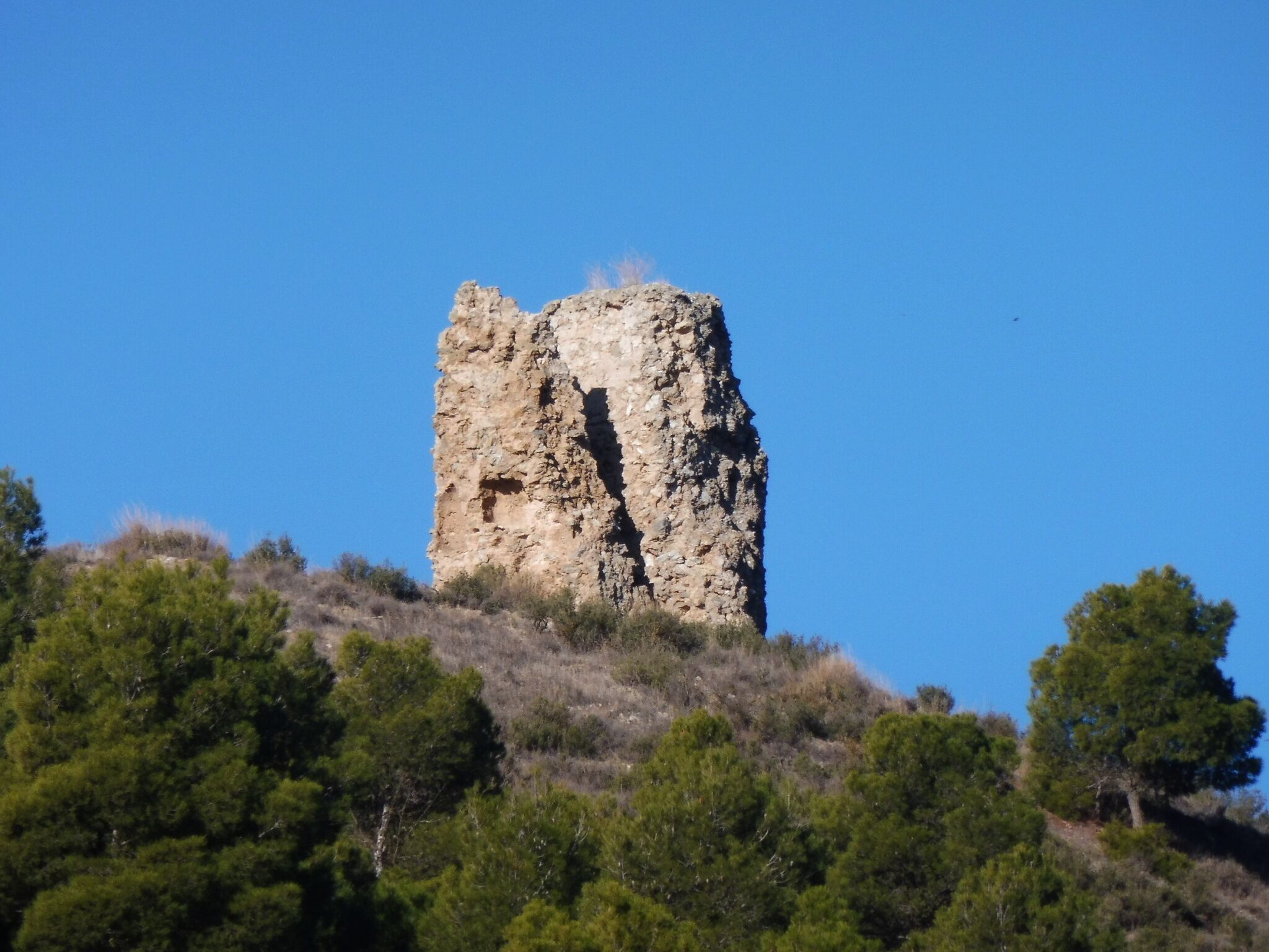 Castell de Castelló de Farfanya: La Torre Blanca, torre de guaita a la carena al nord del castell This is a photo of a monument indexed in the Spanish heritage register of Bienes de Interés Cultural under the reference RI-51-0006300.