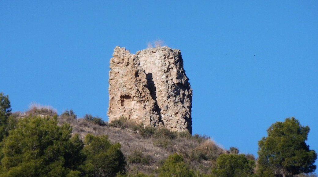 Castell de Castelló de Farfanya: La Torre Blanca, torre de guaita a la carena al nord del castell This is a photo of a monument indexed in the Spanish heritage register of Bienes de Interés Cultural under the reference RI-51-0006300.