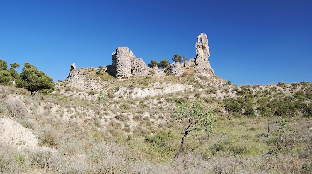 castell des del torrent