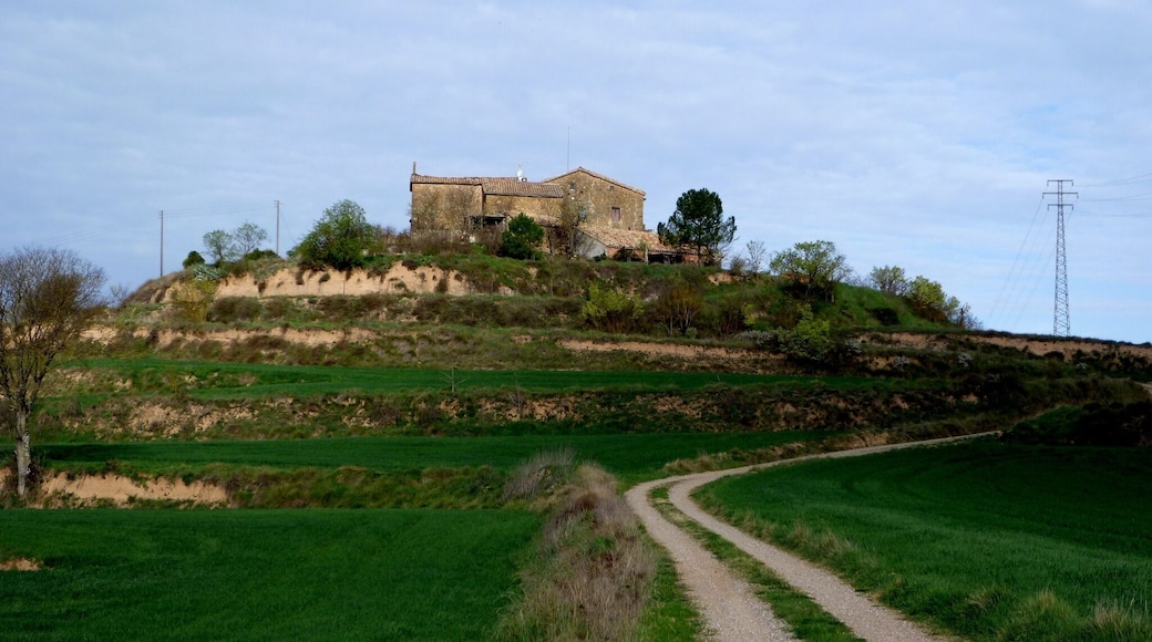 Vilaprinyó amb la seva capella de Santa Magdalena (Castellar de la Ribera)
