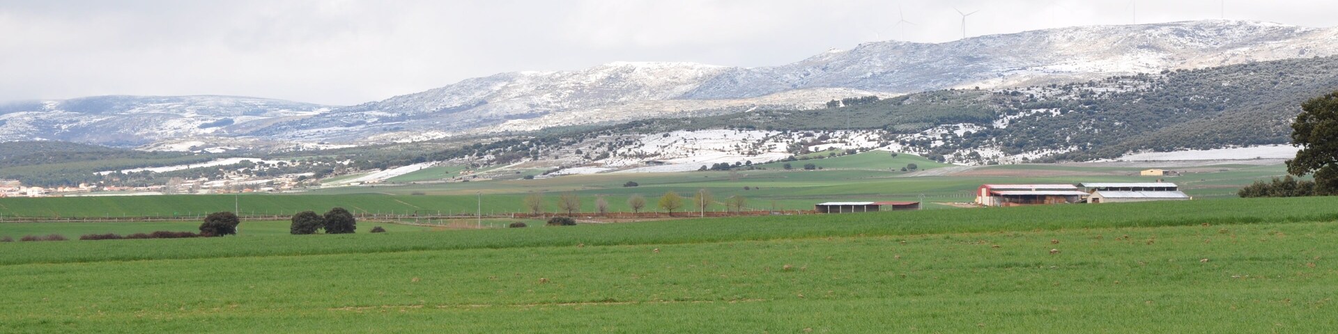 Campos de cebada en el Valle de Amblés, Ávila, España.