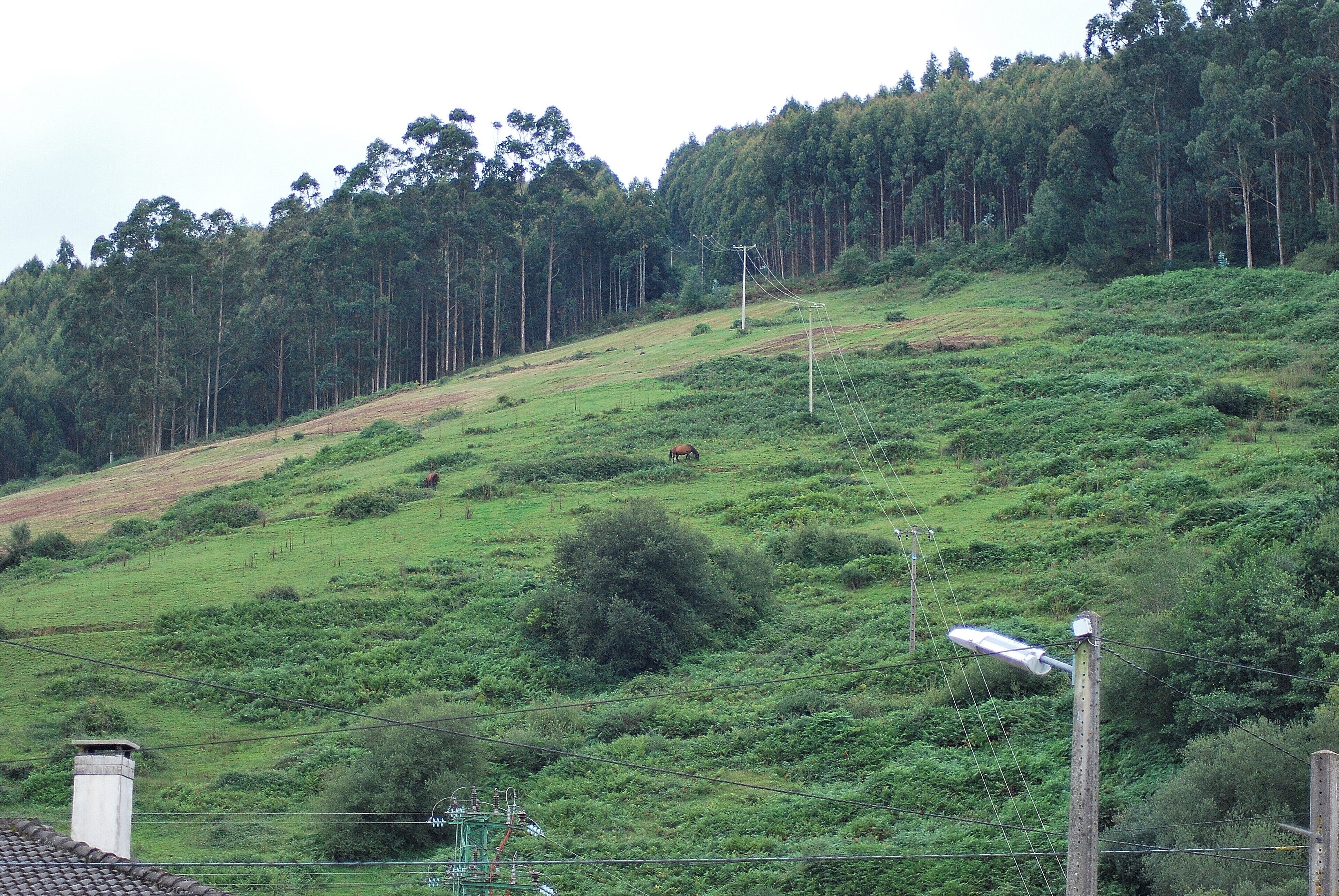 Trebuesto, Cantabria, Spain