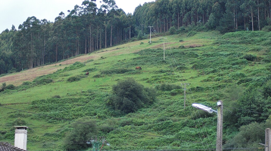 Trebuesto, Cantabria, Spain