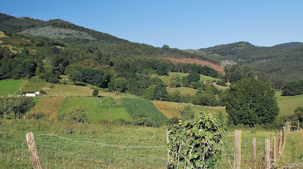 Guriezo, Cantabria, Spain