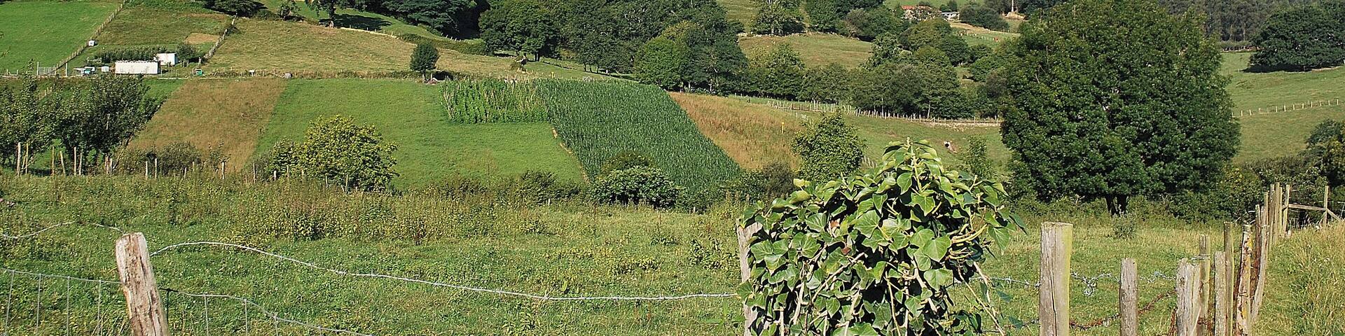 Guriezo, Cantabria, Spain