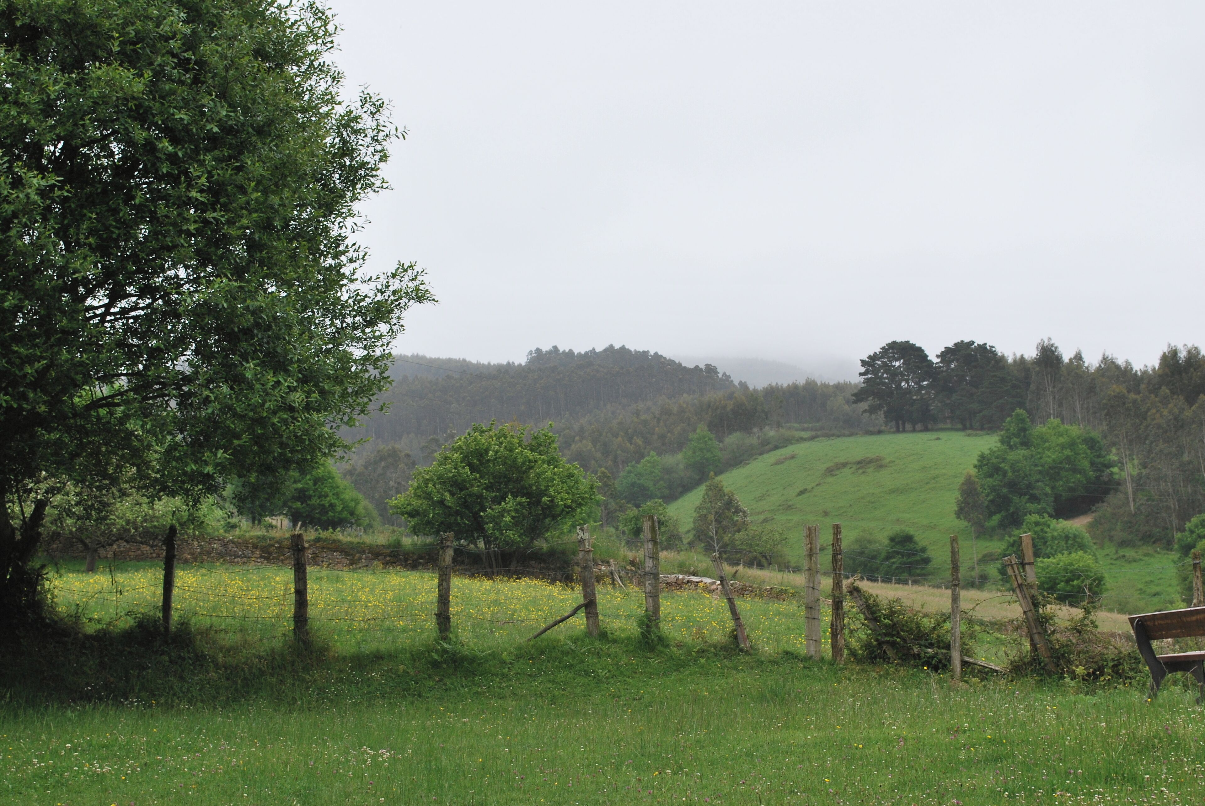 Desde Santa Catalina
