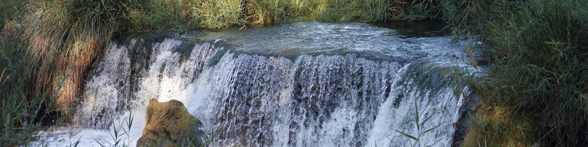 A small waterfall surrounded by lush greenery.
