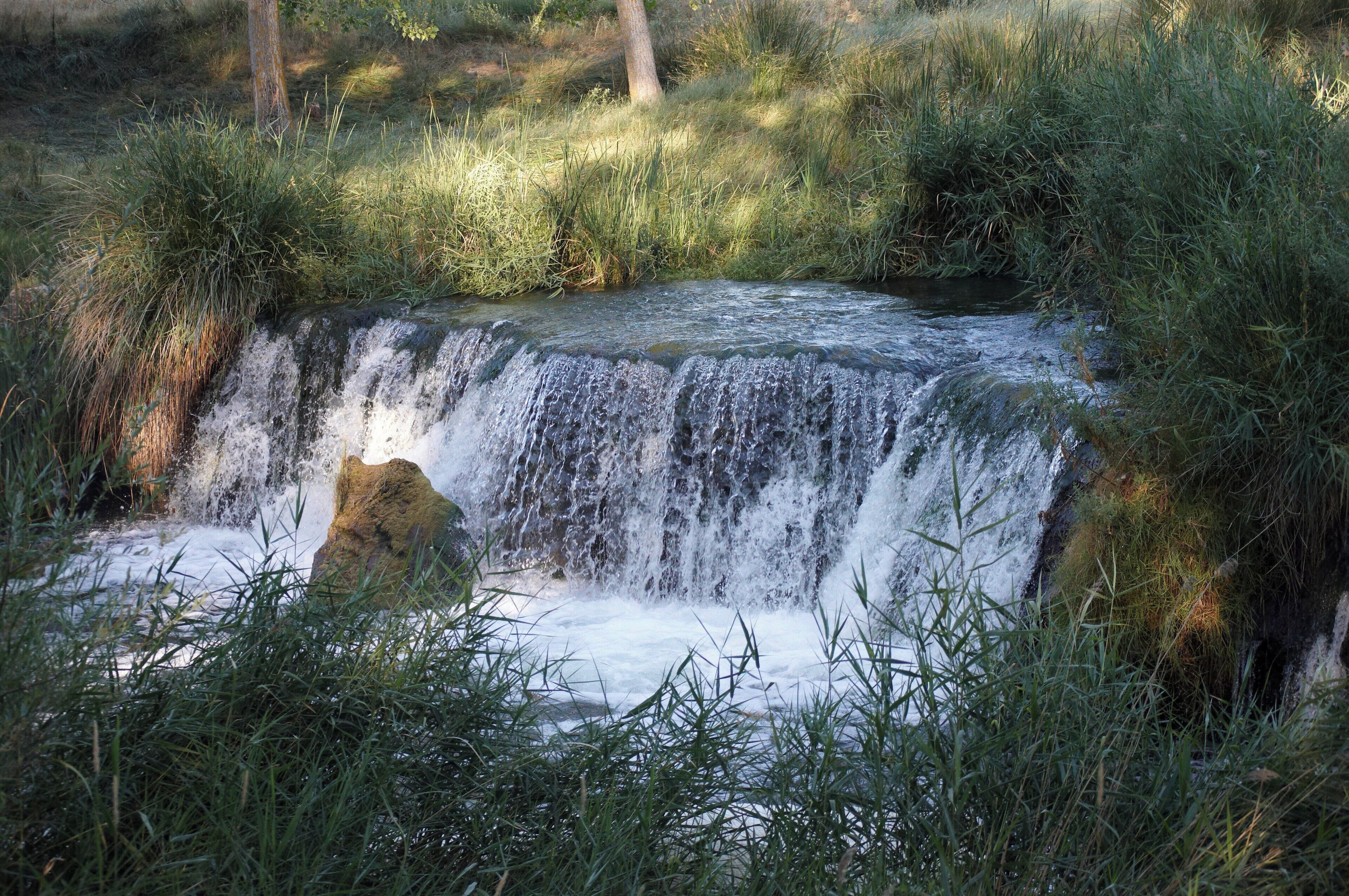 A small waterfall surrounded by lush greenery.
