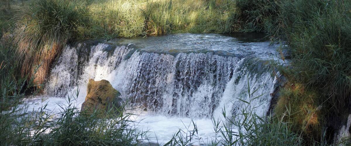 A small waterfall surrounded by lush greenery.