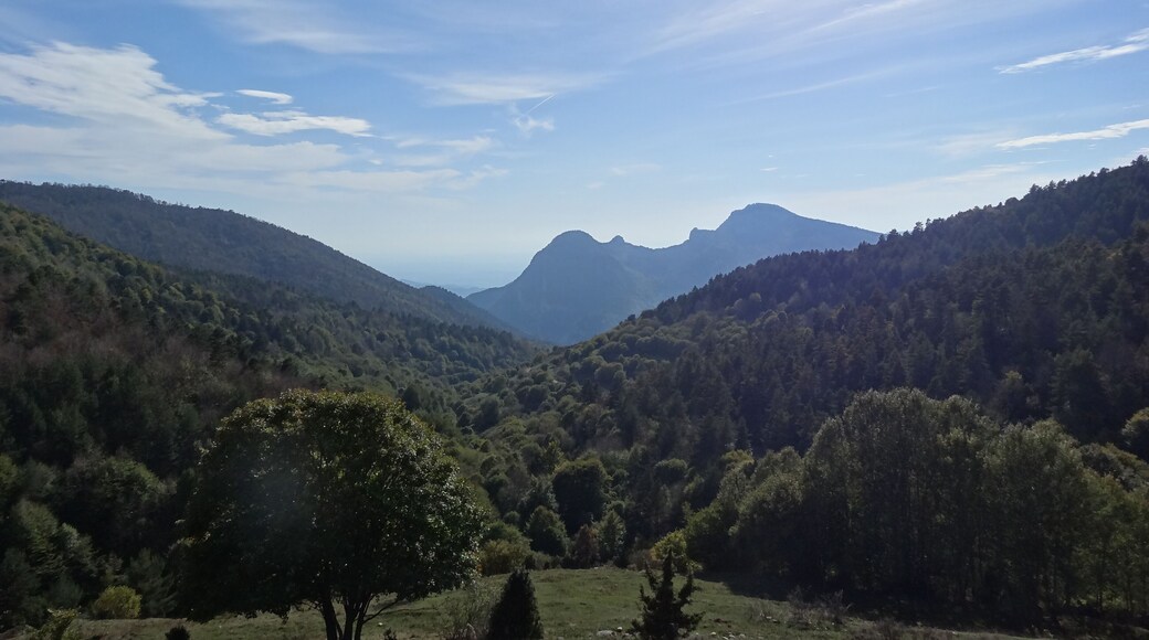 Cim del Sobrepuny des de Sant Romà de la Clusa, Serra del Catllaràs (octubre 2012)