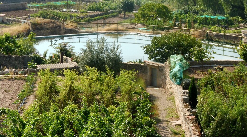 Molรญ del Mig de Copons: la bassa