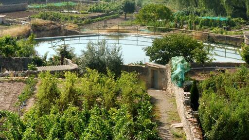 Molí del Mig de Copons: la bassa