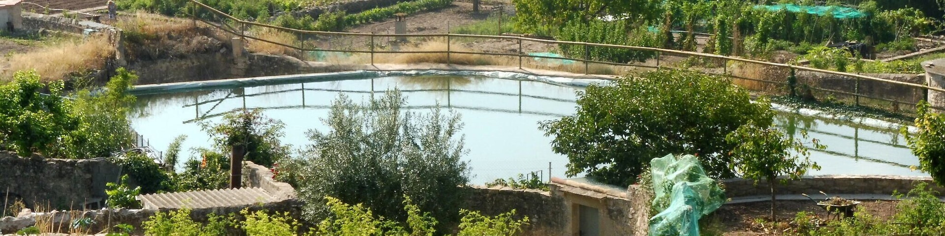 Molí del Mig de Copons: la bassa