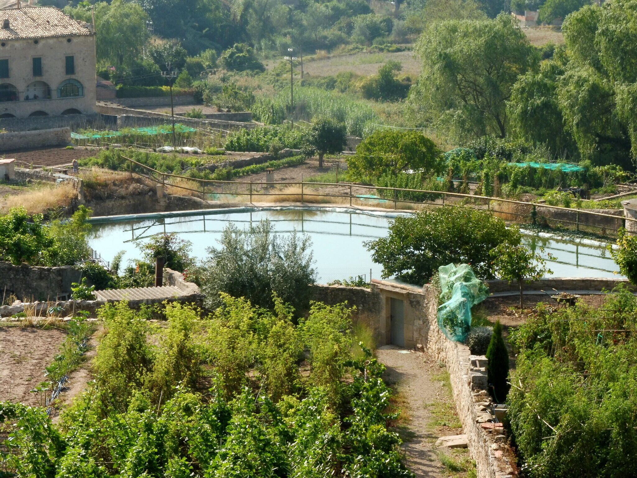A rural landscape with a circular pond, stone walls, and surrounding vegetation.
