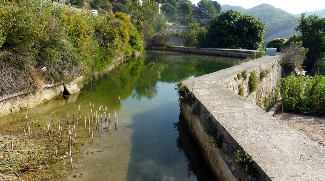 Molรญ de Dalt de Copons