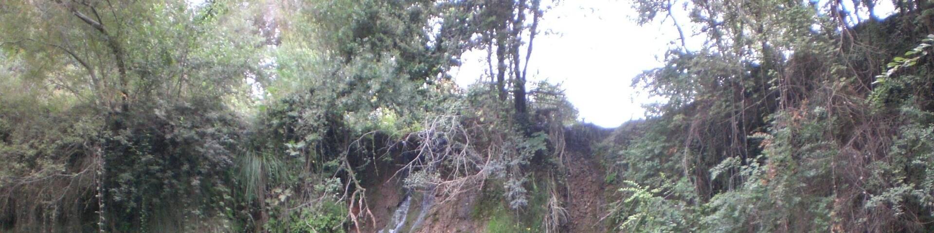 Gorg de Nafre, Copons (setembre 2011)