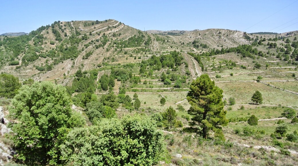 Castell de Cabres, 12319, Castellón, Spain