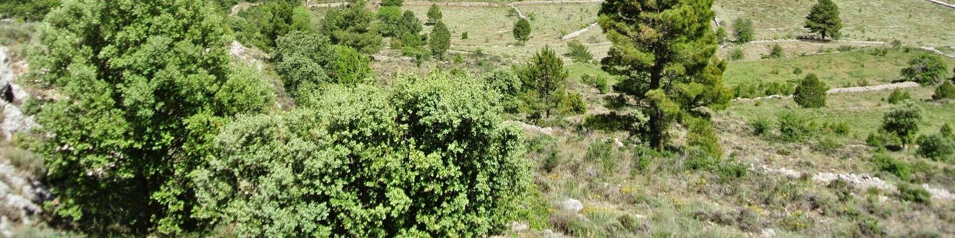 Castell de Cabres, 12319, CastellĂłn, Spain