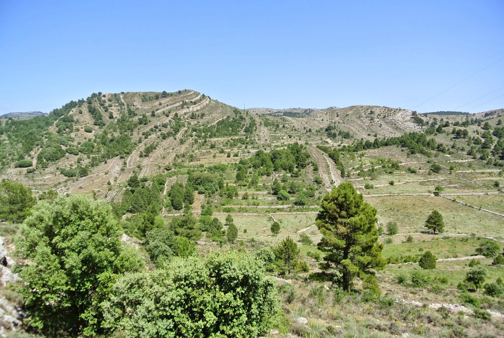 A mountainous landscape with terraced fields and scattered trees.