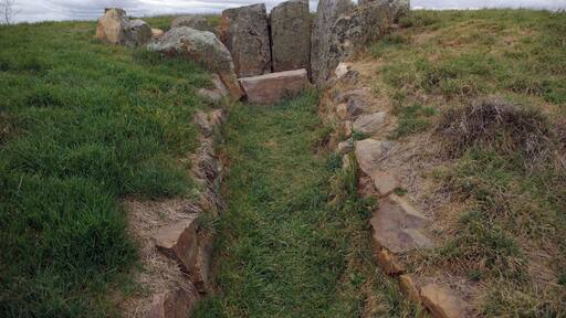 A stone structure with a narrow passageway surrounded by grass and rocks.