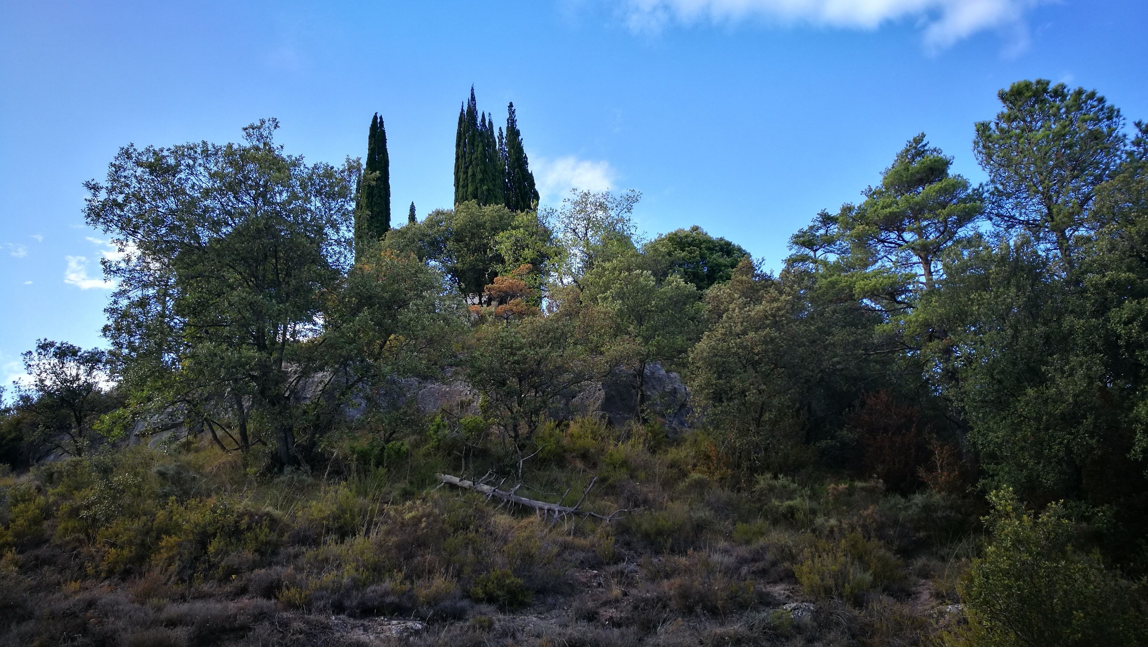 turó del cementiri de la Quar