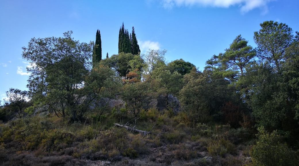 turó del cementiri de la Quar