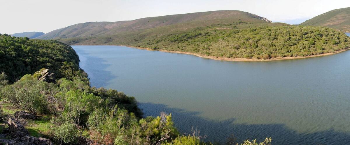 A lake surrounded by hills with dense greenery.